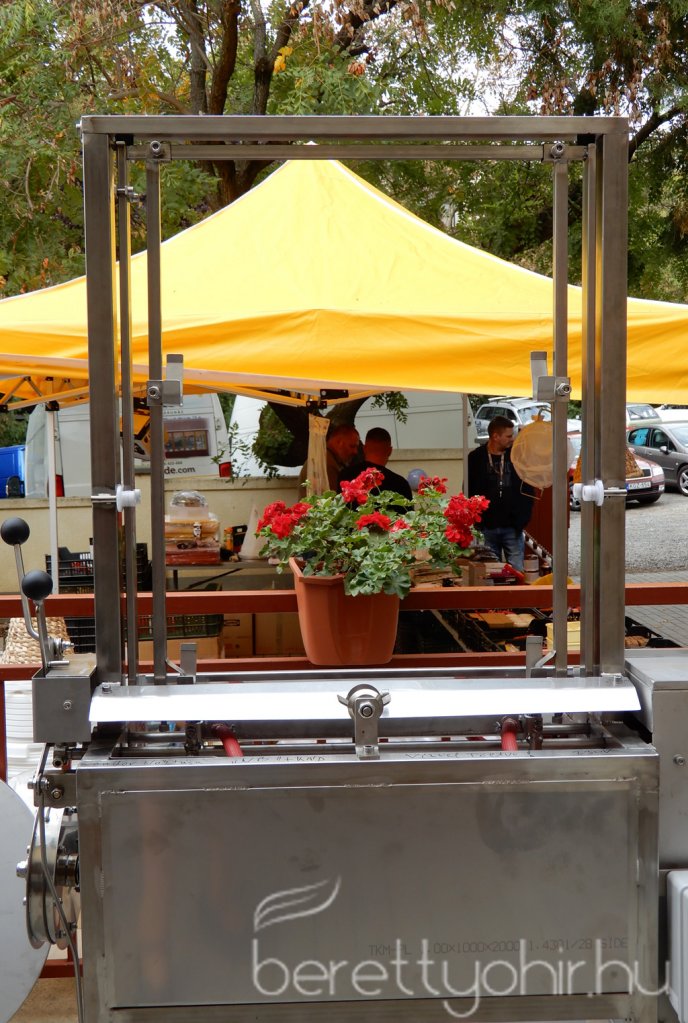 VIII. Bihari Mézes Nap 090